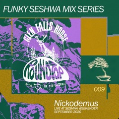 Funky Seshwa Mix Series 009:  Nickodemus Live at Seshwa Weekender 2020