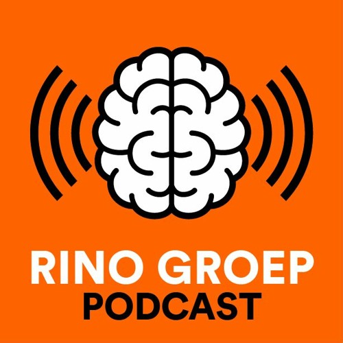 Stream episode De relatie tussen slaap en hersenaandoeningen - Prof. dr. Ysbrand  van der Werf (afl. 3) by RINO Groep Podcast podcast | Listen online for  free on SoundCloud