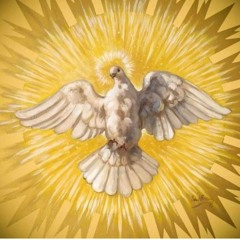 🚀٣١٩٩١PDS-ASP۸۸۸۷۷۷۶۶۶-PÔRTÓ DOMINGÔ MISSION //: 🛸٣١٩٩١MUSSOLINI M31EXPRÊ ☝️✨♈