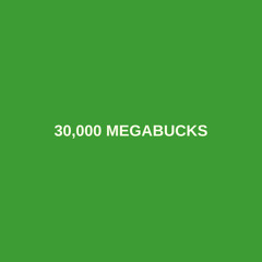 30,000 Megabucks