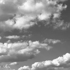 차양(遮陽)(demo)