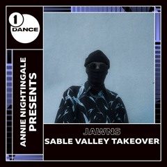 JAWNS BBC Radio 1 Sable Valley Takeover Mix