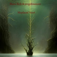 Shane Beck & progettosonoro - Misplaced Heart