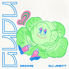 GuduMix 015: DJ JNETT