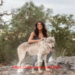 { Video 18++ } one girl one wolf video & one girl one frog video original reddit and twitter