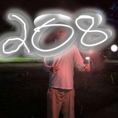 the 208