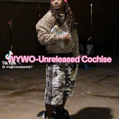 Cochise - WYWO (SNIPPET)