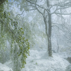 Bladee - BAD 4 BUSINESS (Ambience version)