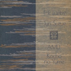 Erik Luebs-Solitary Orbit