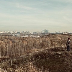 Electrohousemuz - The Joy Of The Ear #11