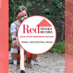 Willams Tribe - Drum Tribal Didg (Australian Intense Meditation)