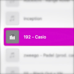 192 - Casio (2022)