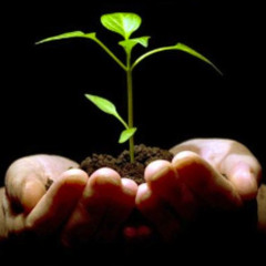Dj Axel Von Greiff - New Beginnings - 01-01-2010