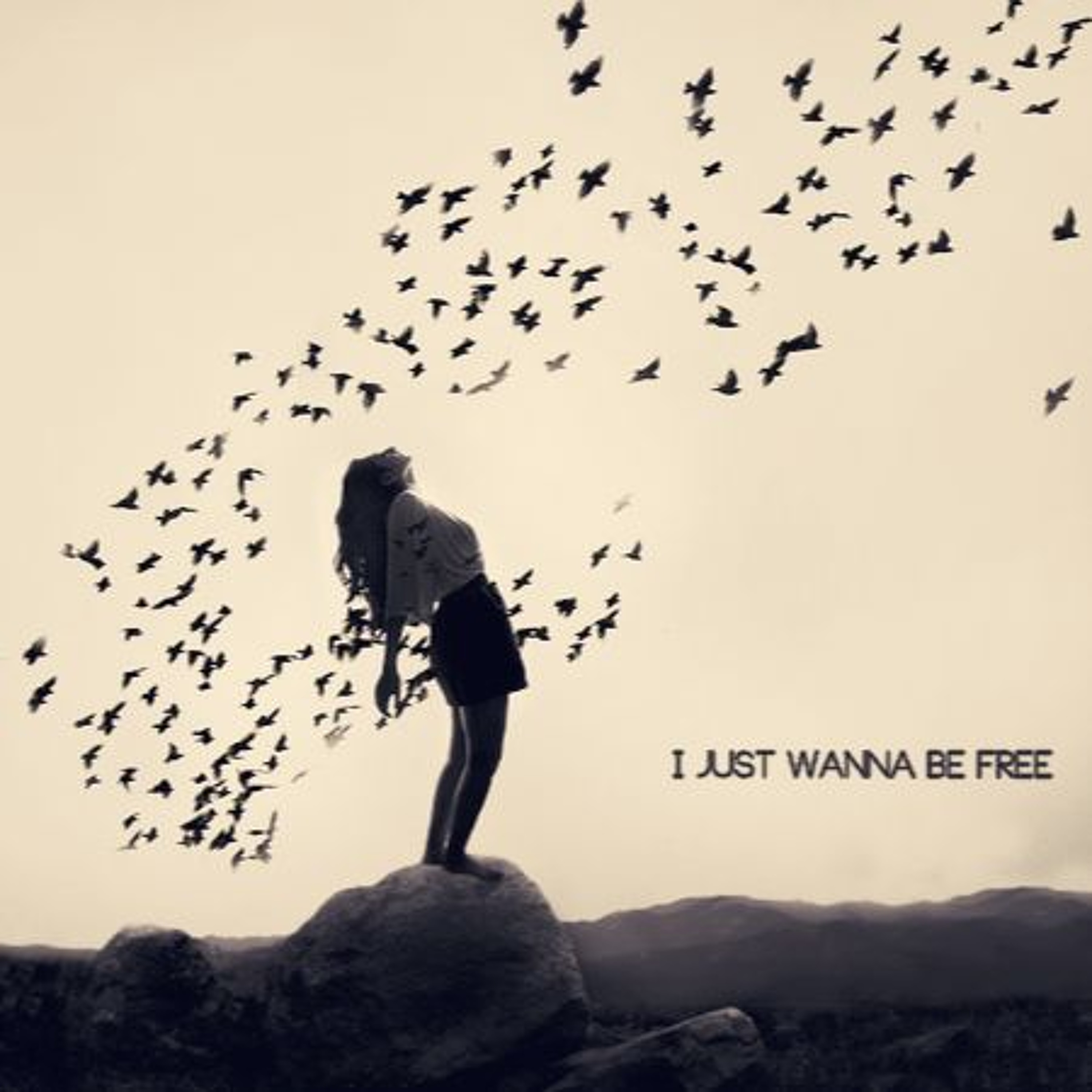 Track cover