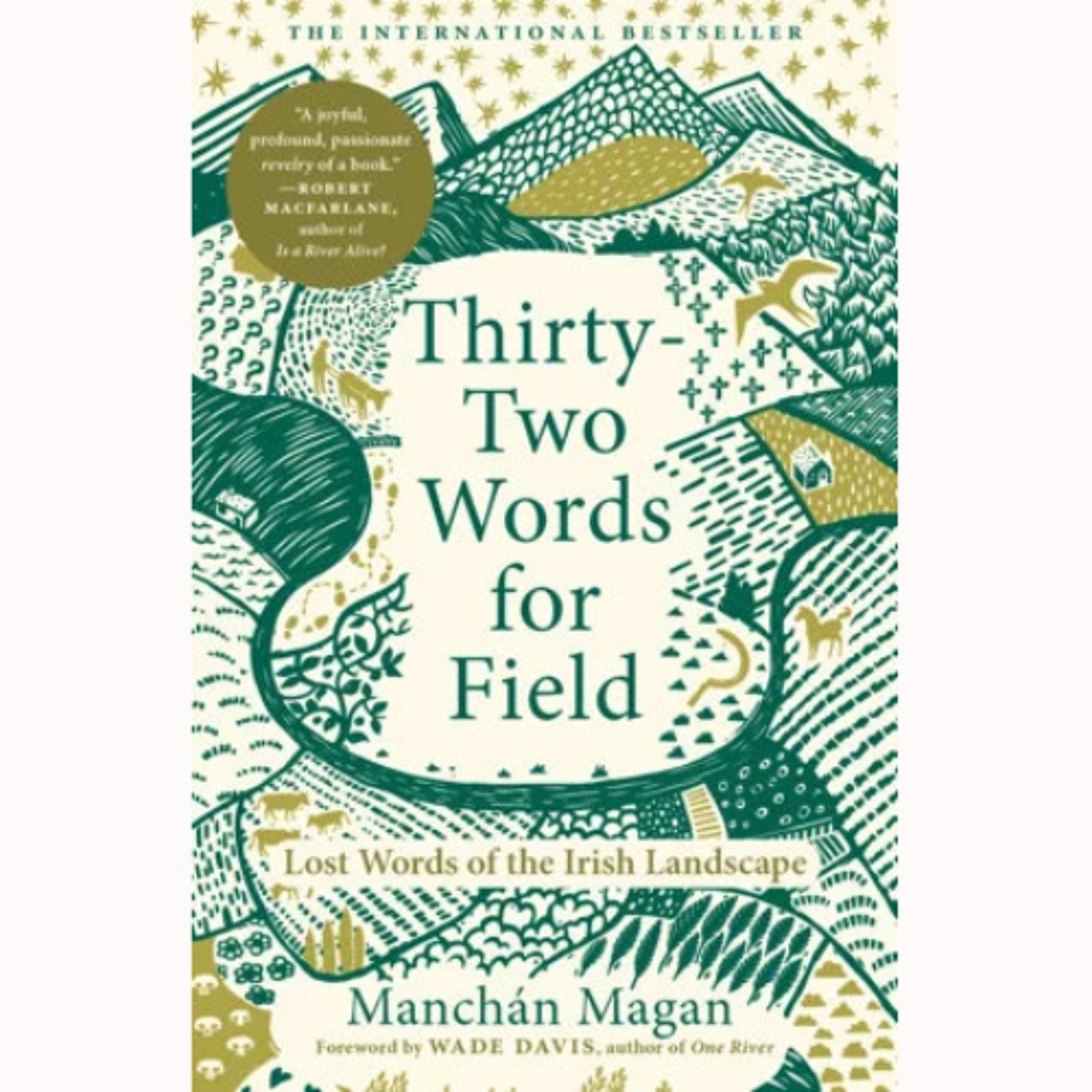 "Thirty-two Words for Field:" Memories of Manchán Magan