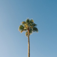 Kai Torres - Luv #11