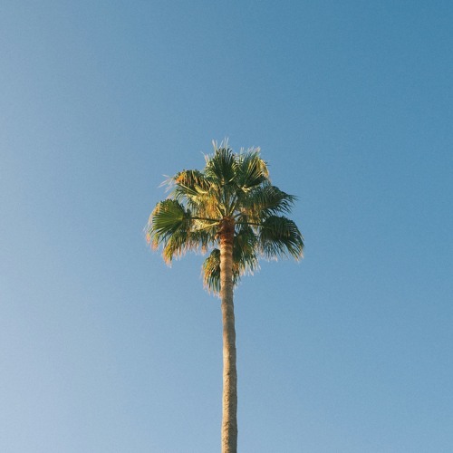 Kai Torres - Luv #11