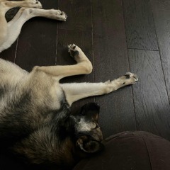 Пустые глаза