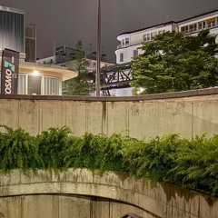 dub kimski @ freifeld | open ground