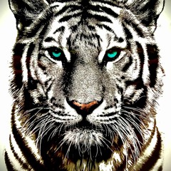 Hear my visions(beat by Black lions)