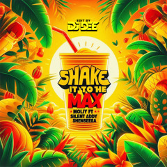 Shake It To The Max (DEE Amapiano Edit)