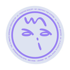 PREMIERE: Electrodynamique - Destroy The System [Maai Records]