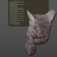 catgpt. take#01