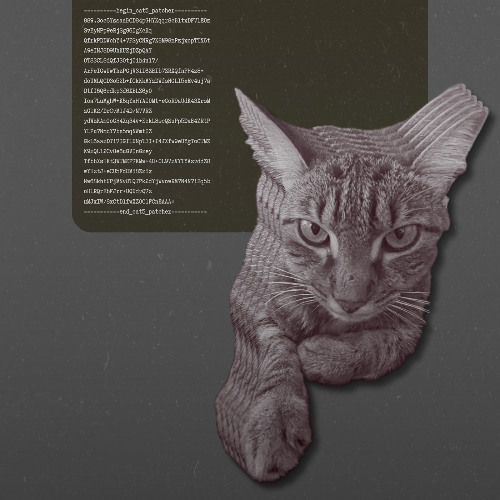 catgpt. take#01