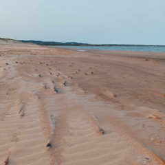A Dry Wind - Un vent sec