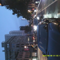 Long way from home- baby bartier