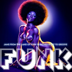 Fela Kuti - Nigerian Groove (Dolemite Afro Funk Mix)
