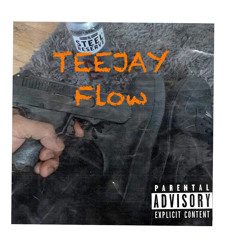 TEEJAYX6 FLOW