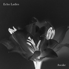 Echo Ladies - Awake