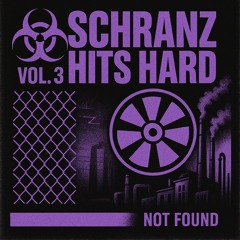 SCHRANZ HITS HARD