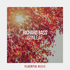 Sunleaf (Extended Mix)