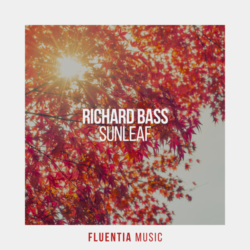 Sunleaf (Extended Mix)