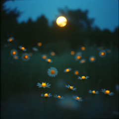 lost in your magic