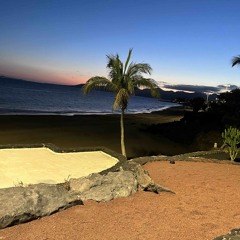 Josh Kelly - Summer 25