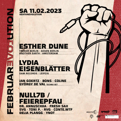 febRAVEOLUTION @ SektorEvolution _ 110223