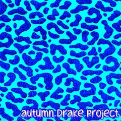 I Found U (Autumn Drake Project DnB Remix/Edit) - Axwell