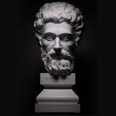 I Came To Rome When It Was A City Of Stone, And Left It A City Of Marble - TikTok Sound