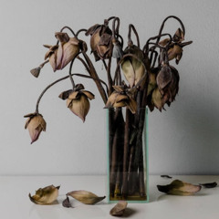 dead flowers