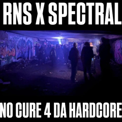 NO CURE 4 DA HARDCORE - RNS X SPECTRAL LIVE SET