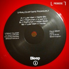 PREMIERE: Luke Vibert - Trouble (BV36)