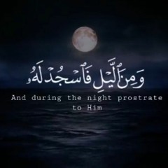 ومن الليل فاسجد له .mp3