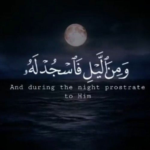 ومن الليل فاسجد له .mp3