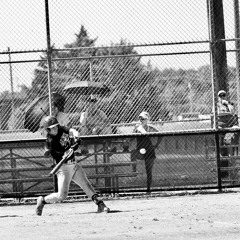 Modern Wisdom Bangers