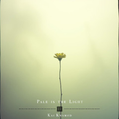 Pale is the Light (I See Now)
