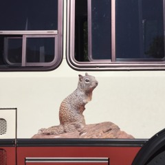 Busses