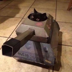 Dude Where's My Xbox Card.mp3